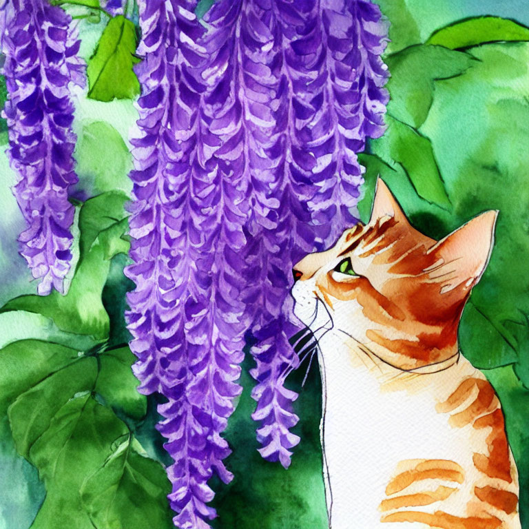 Watercolor illustration: Striped cat with purple wisteria flowers.