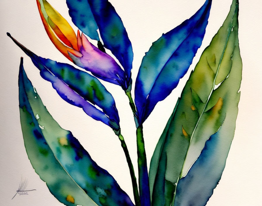 Botanical watercolor painting with blue and green leaves and orange-purple bloom