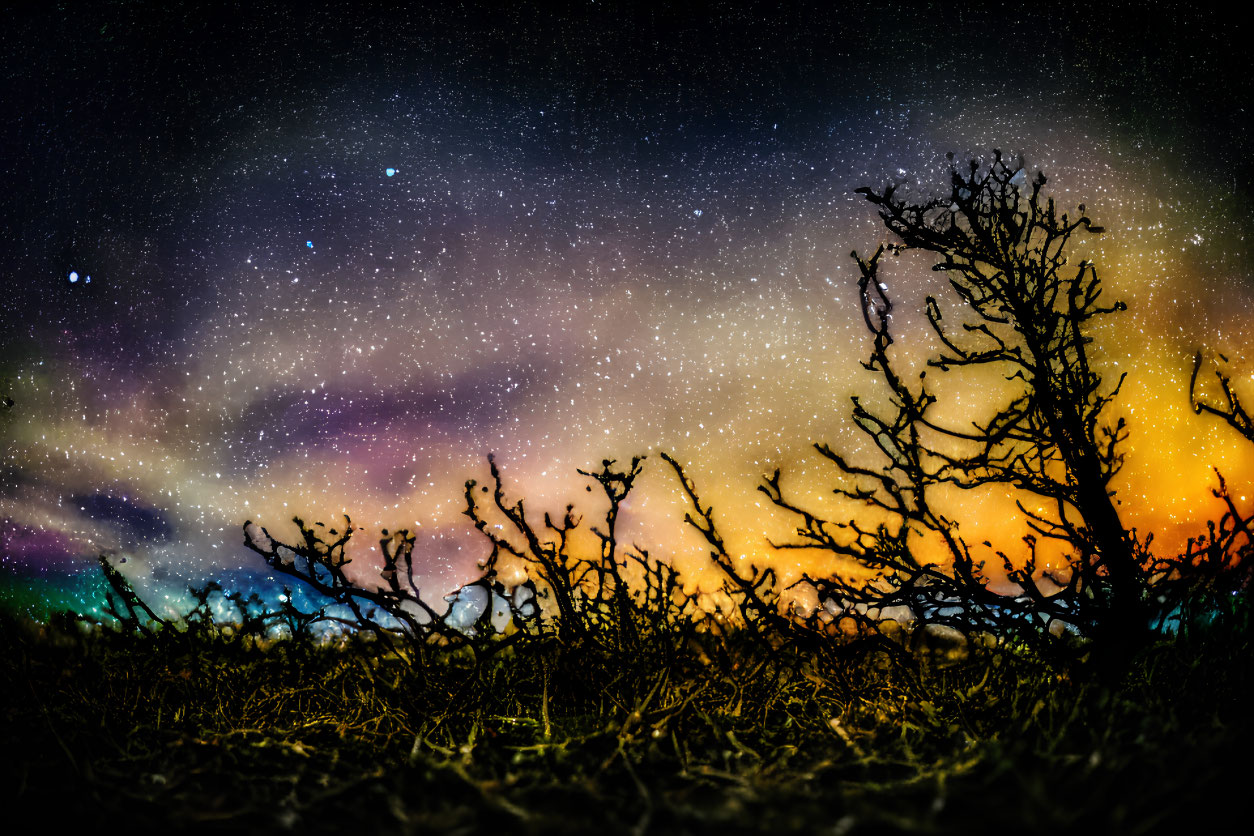 Colorful Starry Night Sky with Aurora and Silhouetted Trees