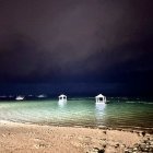 Night Beach Scene with Inflatable Swan Floats and Milky Way Sky