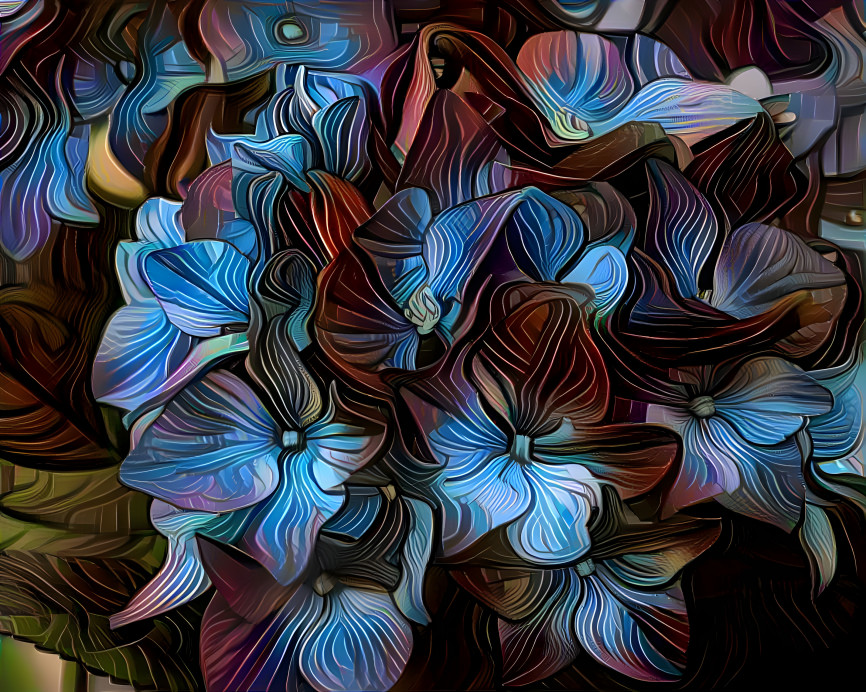 Blue Hydrangea