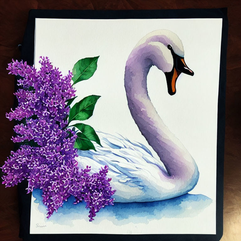 Graceful swan and lilac flowers watercolor painting on white background with dark border