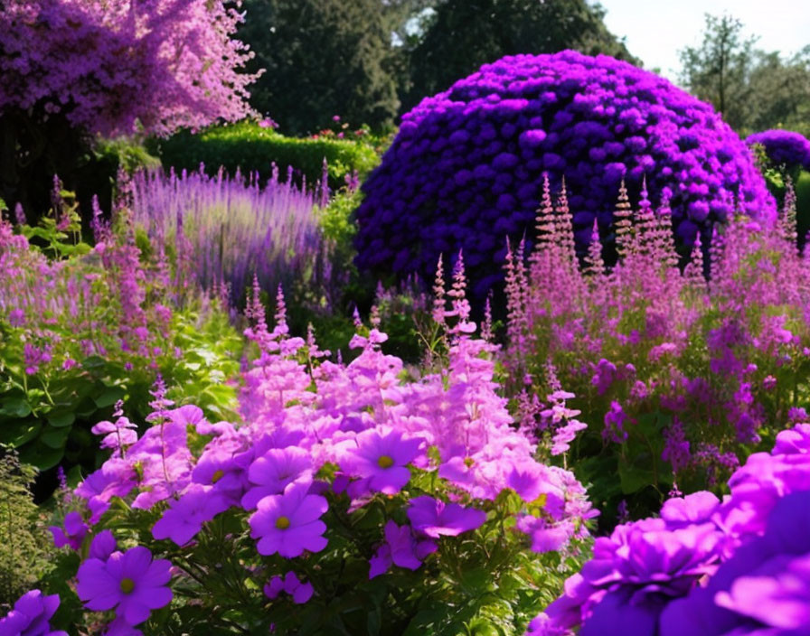 Colorful Garden with Pink and Purple Flowers in Various Shapes and Textures