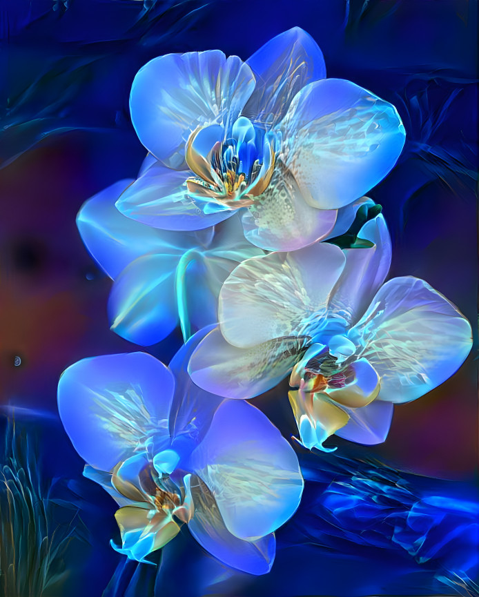 Blue Orchids