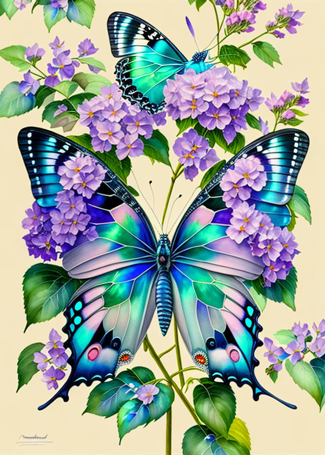 Colorful illustration: Two blue butterflies on purple flowers