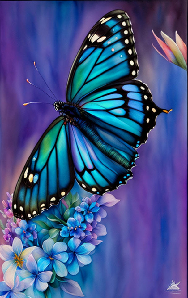 Blue Butterfly on Blue Flowers with Purple Background