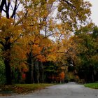 Vibrant landscape painting with tree-covered hills and road