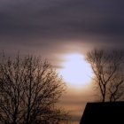 Tranquil dusk scene with setting sun, trees, cottages, and glowing flowers