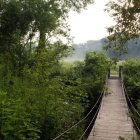 Scenic forest trail with wildflowers, fences, rope bridge, and sunlight glow