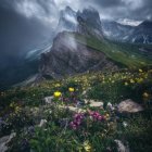 Scenic landscape with flower-covered hill, dramatic mountains, stormy sky