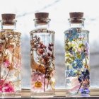 Colorful Pressed Flowers in Glass Bottles with Cork Stoppers