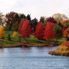 Colorful autumn trees reflecting in tranquil river with falling leaves