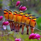 Vibrant birds on branch with green leaves and purple flowers in forest