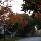 Tranquil sunset landscape with trees, gate, villa, and rolling hills