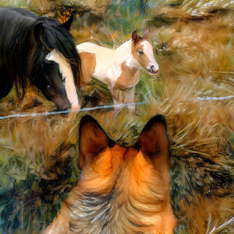 Dog, horse and foal