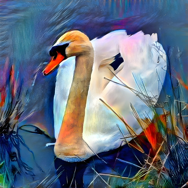 Swan