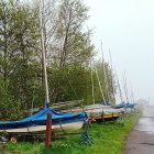 Boats at misty lakeshore with trees and buildings.