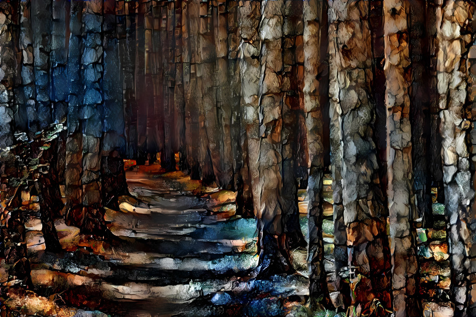 Forest path