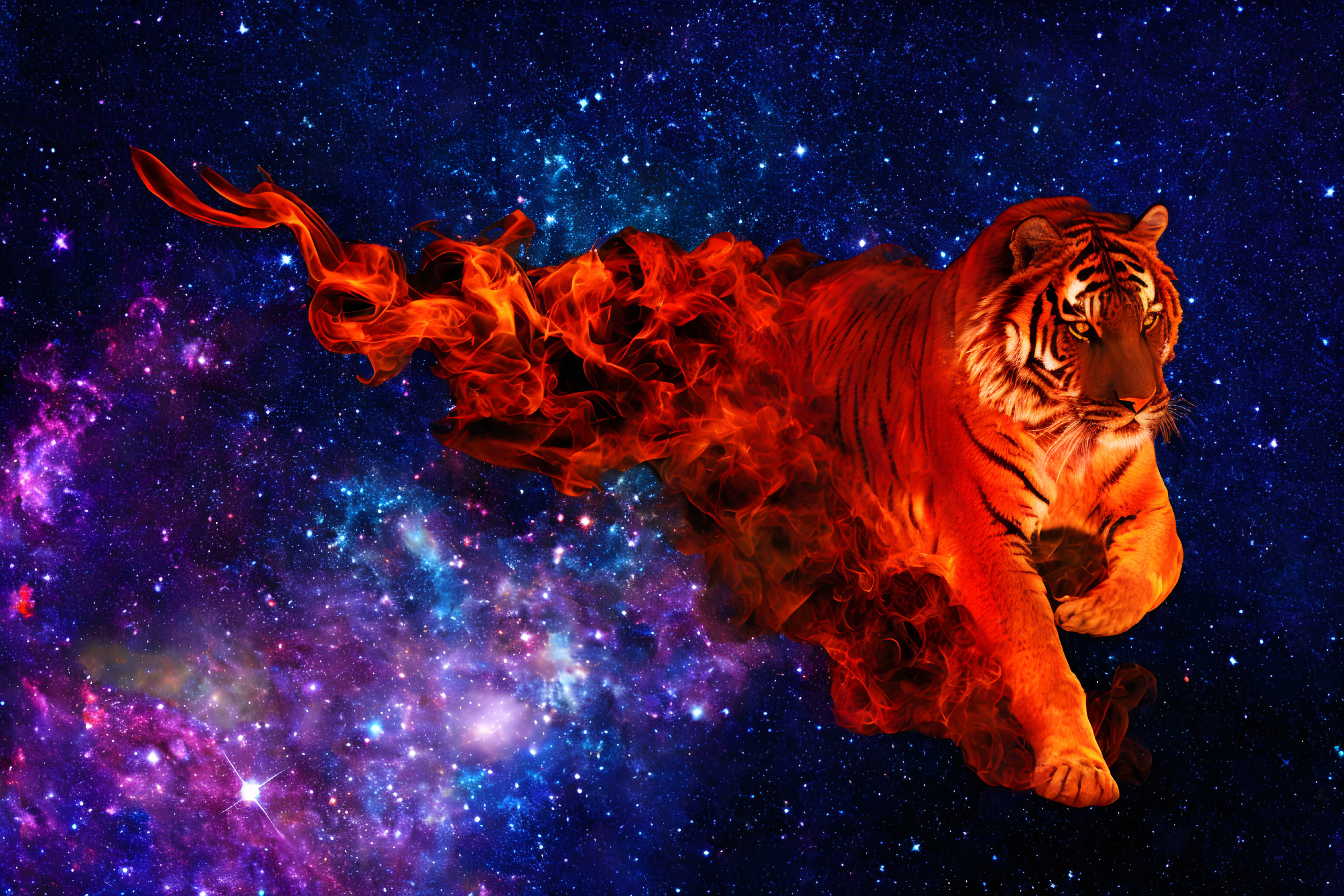 Majestic tiger with flaming tail in vibrant starry cosmos