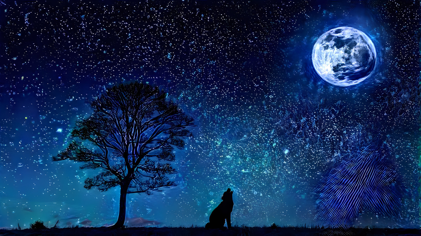 Tree and wolf in moonlight