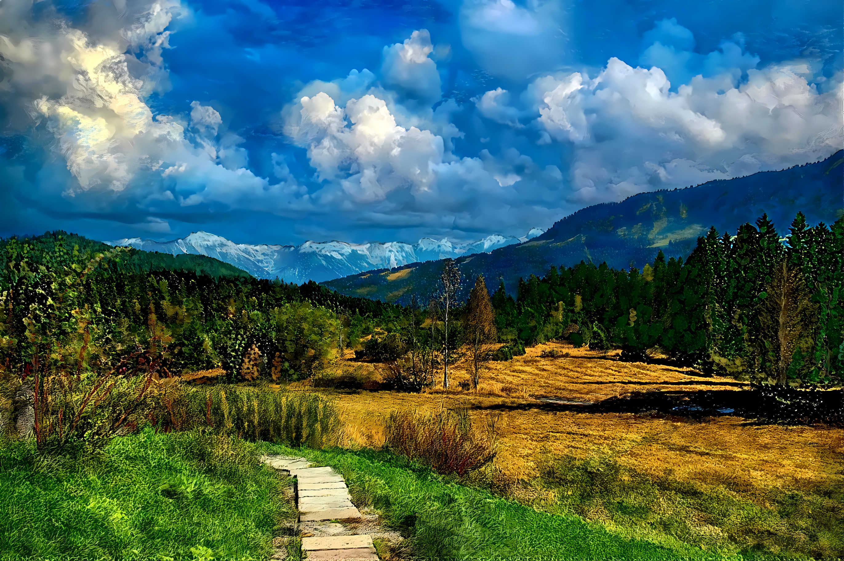 Landscape in Vorarlberg, Austria