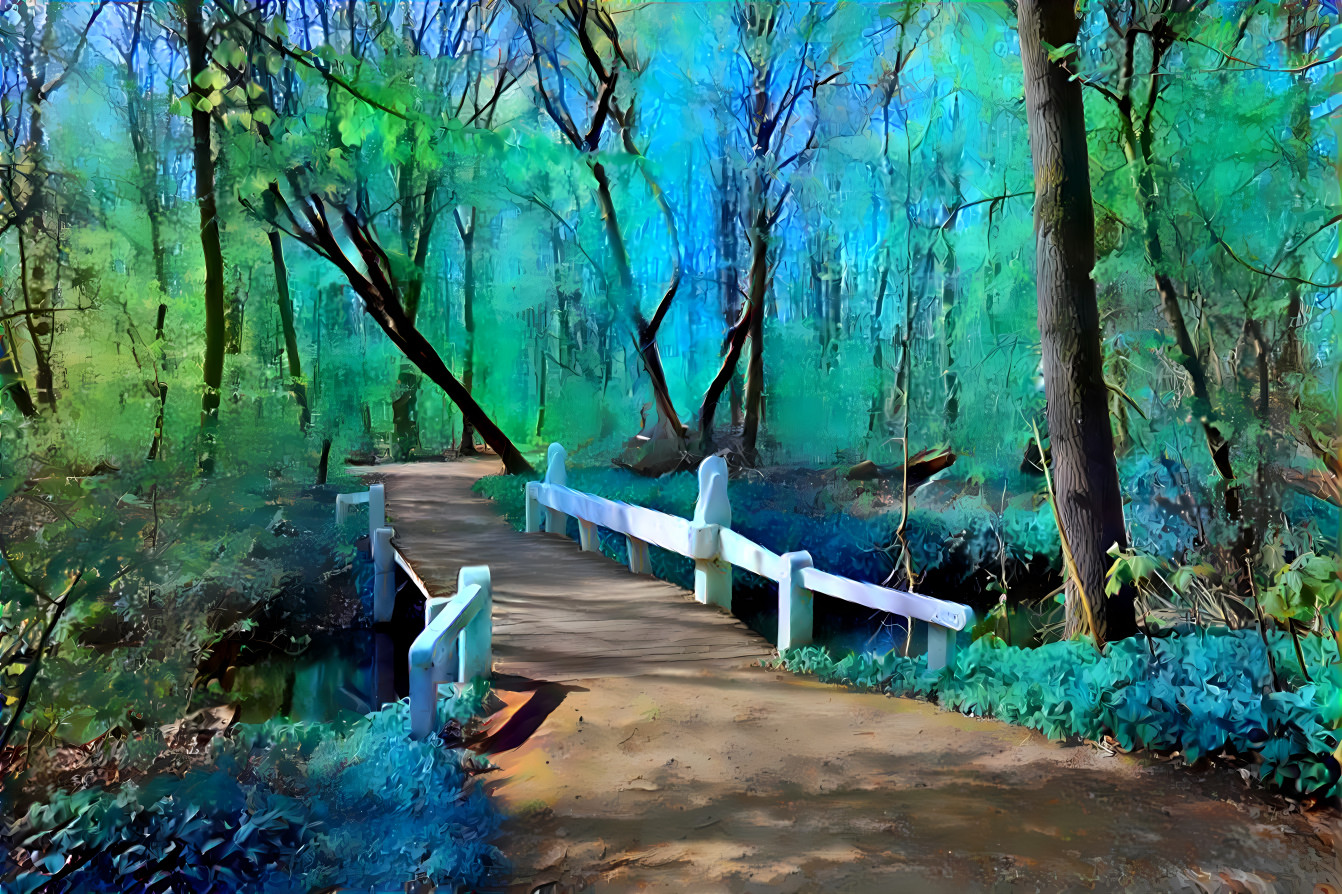 Path through the woods