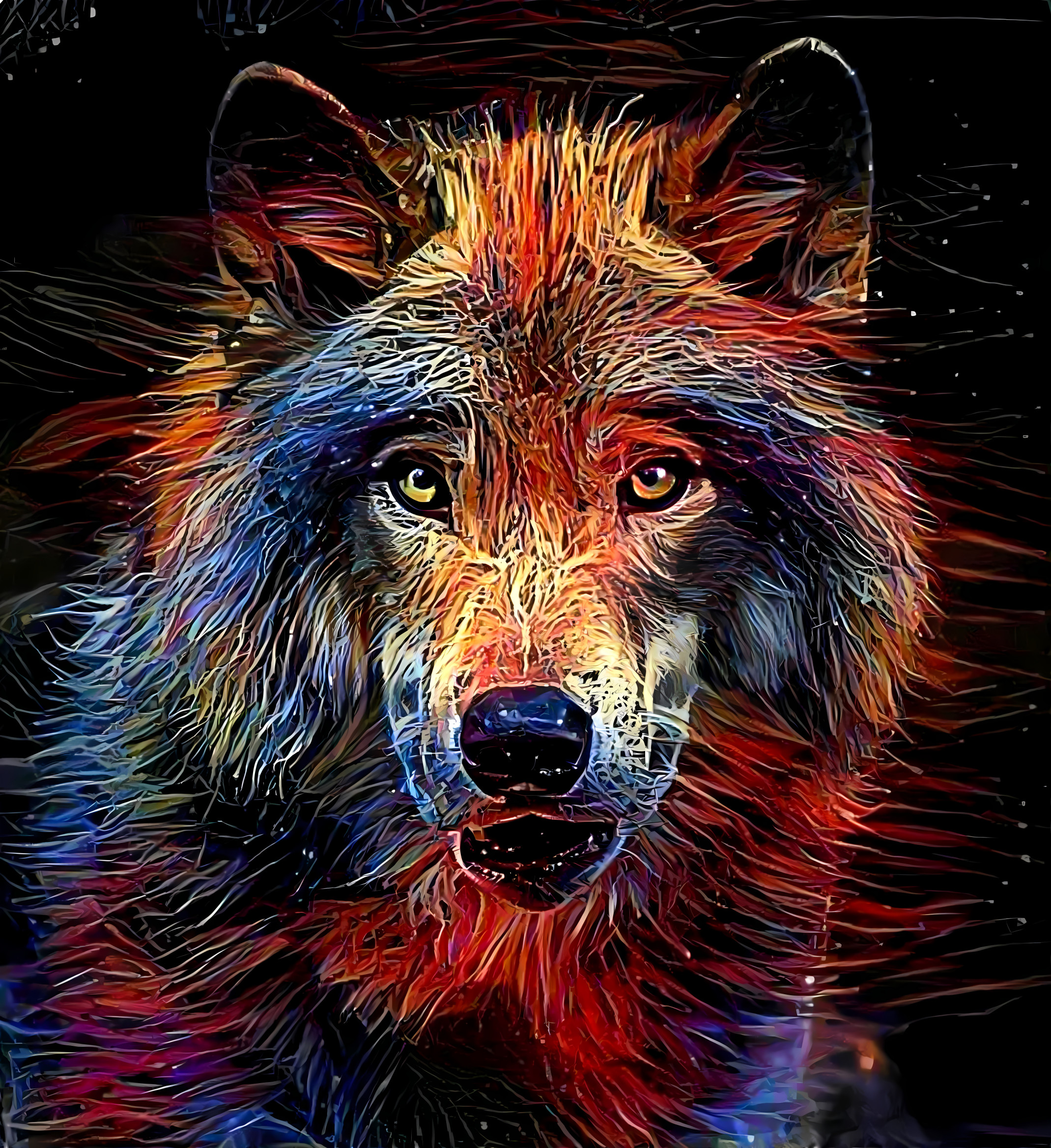 Wolf portrait