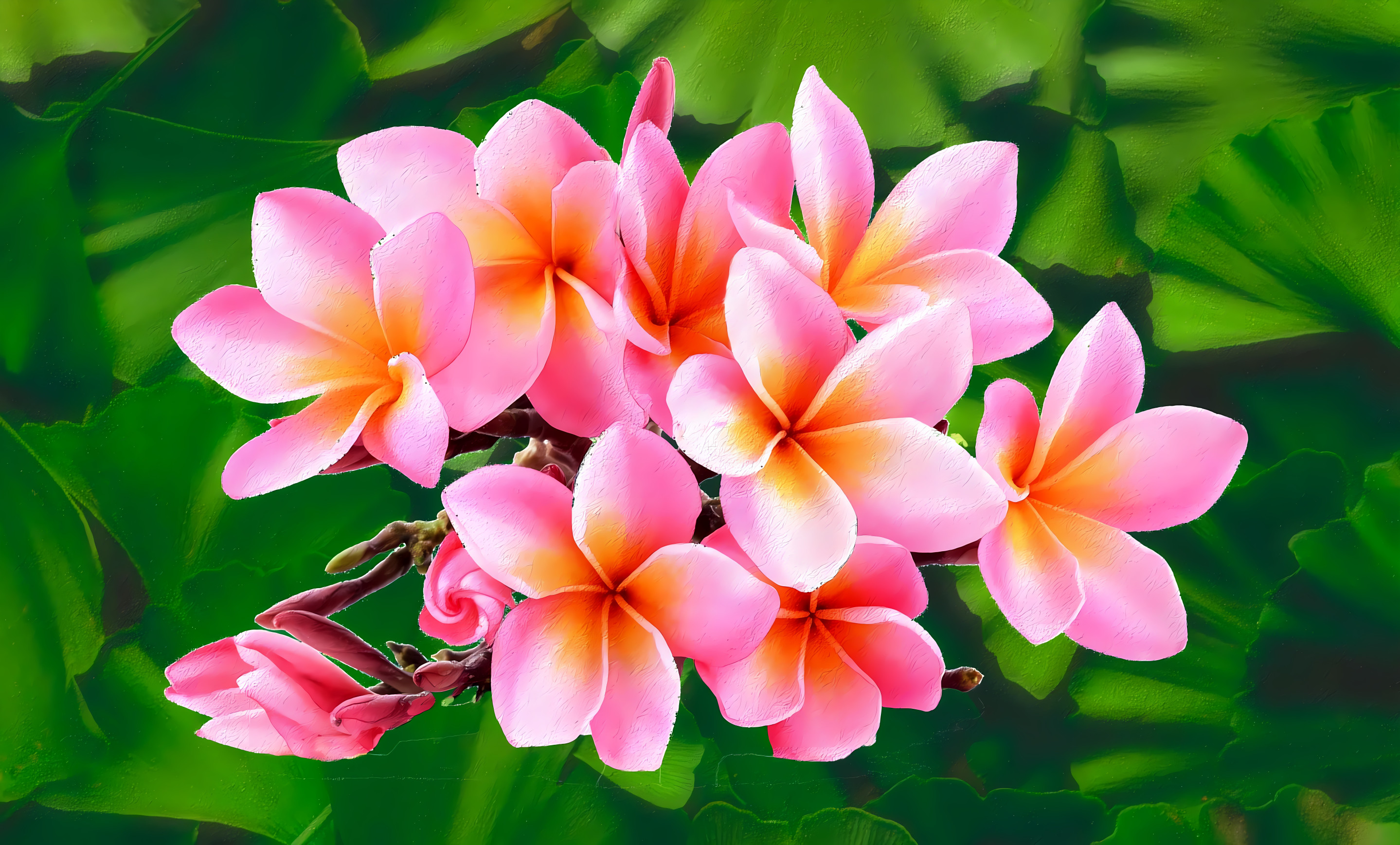 Frangipani flowers and Ginkgo leaves