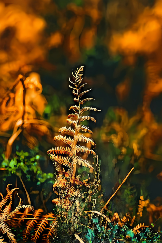 Fern frond