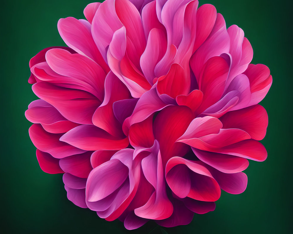 Detailed digital illustration of large pink peony on dark green backdrop