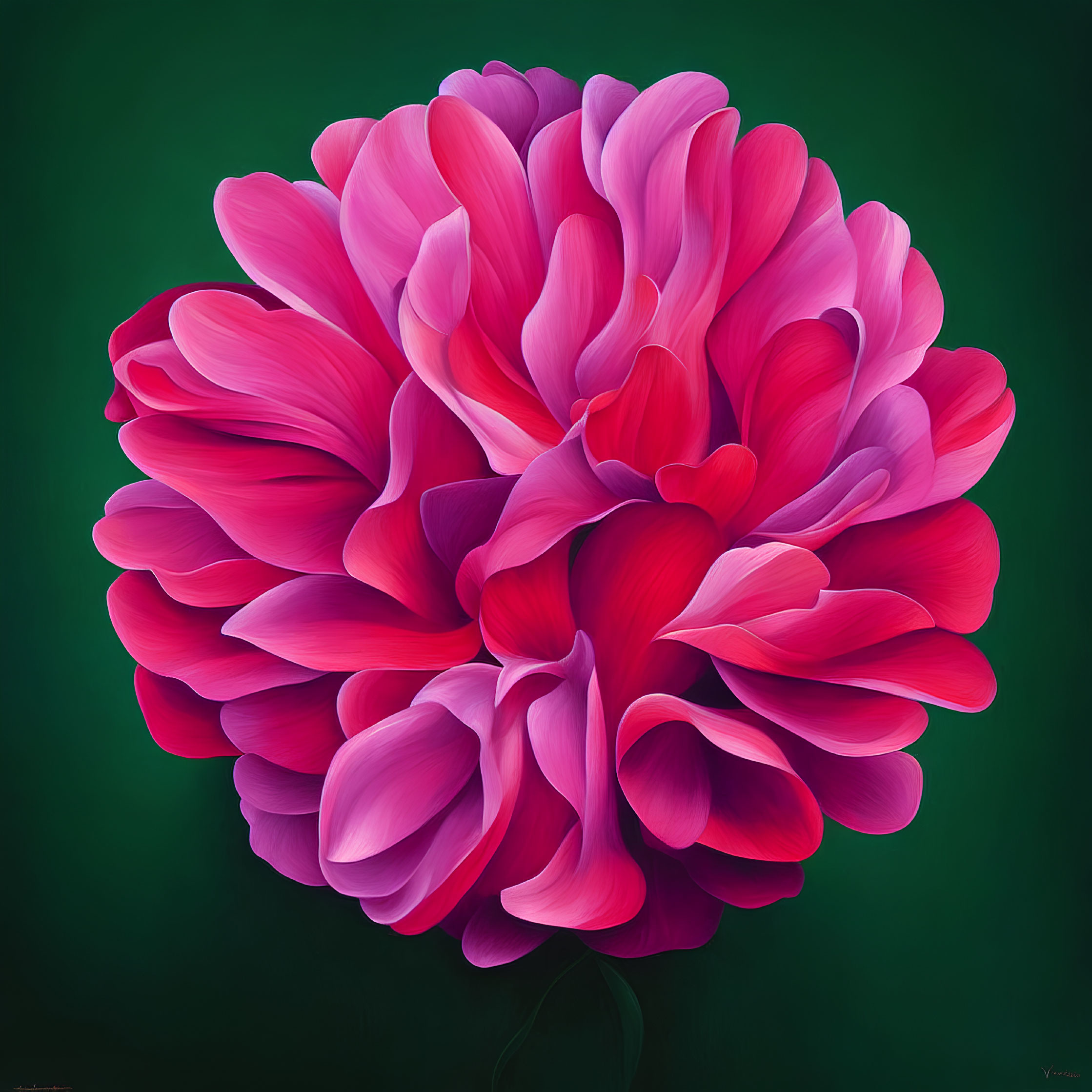 Detailed digital illustration of large pink peony on dark green backdrop