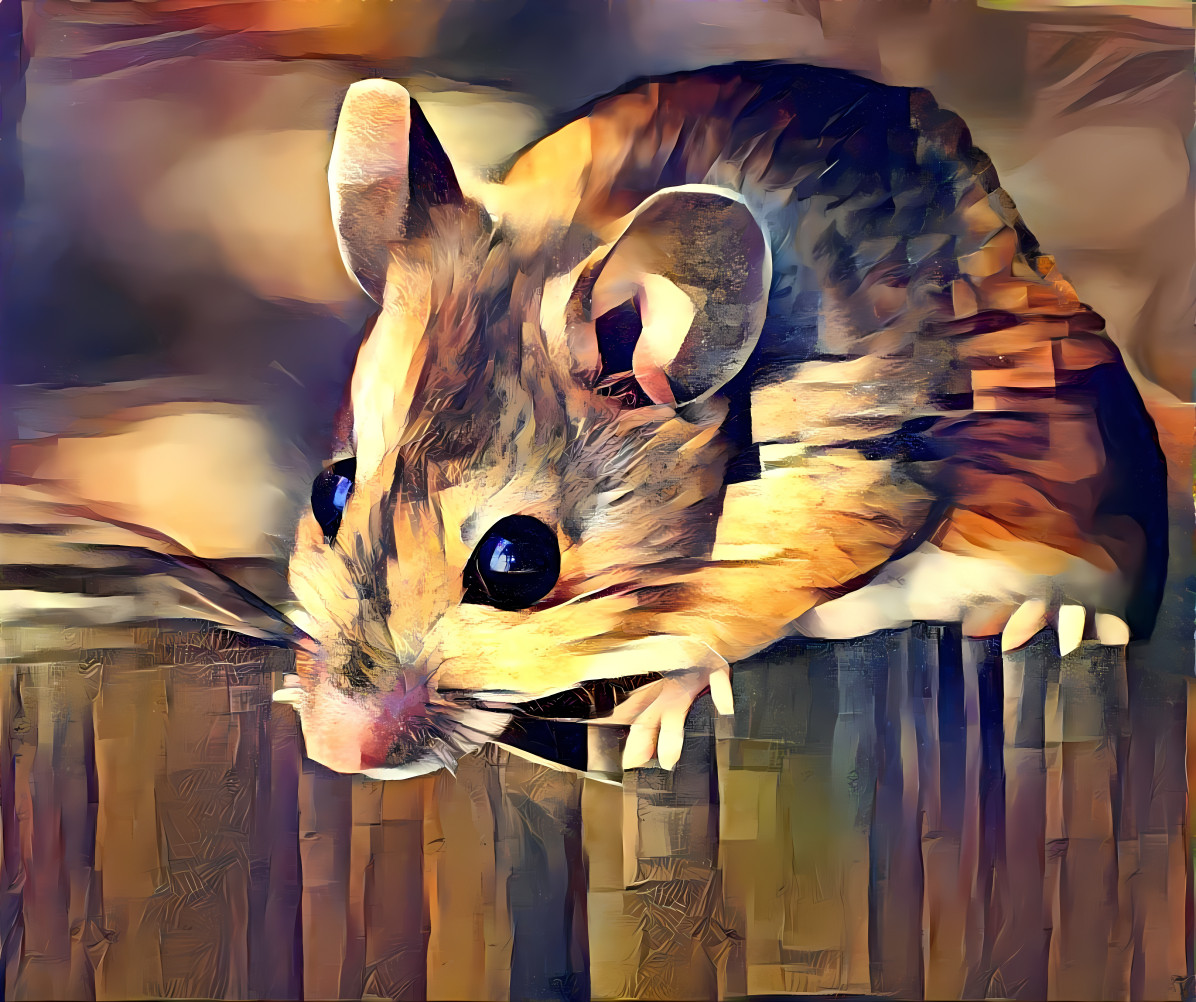 Dormouse