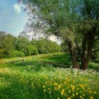 Colorful landscape with green hills, vibrant tree, cottages, river, and birds in blue sky