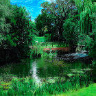 Tranquil forest stream with moss-covered rocks and colorful flowers