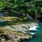 Lush forest waterfall with blue butterflies