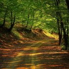 Lush Green Jungle Scene with Dinosaurs and Stream