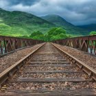 Train tracks in lush greenery with mountains and overcast sky