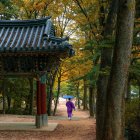 Golden trees and vintage lampposts light up autumn pathway