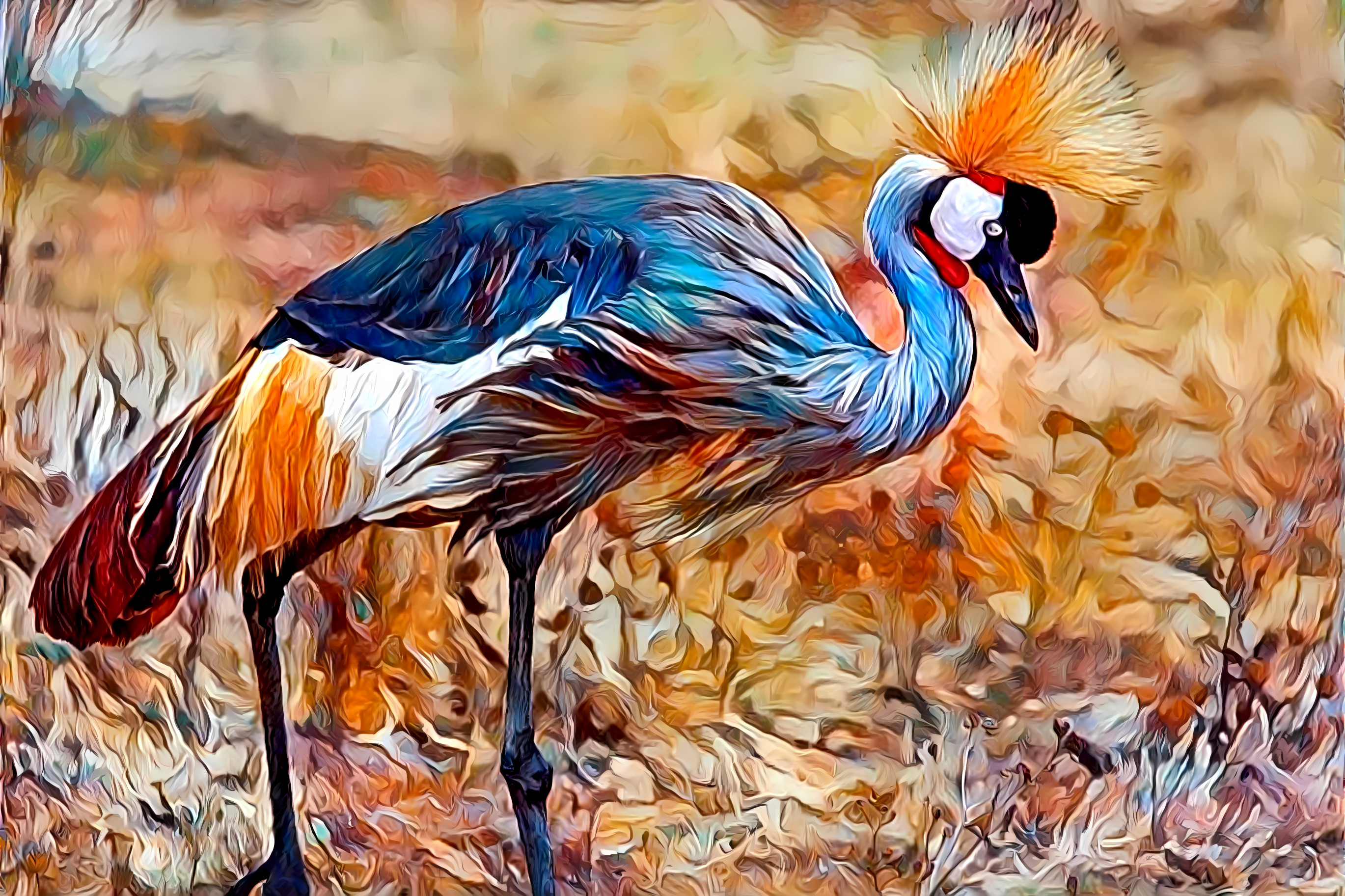 Crowned Crane