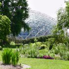 Fantastical garden with oversized plants and geometric glasshouses