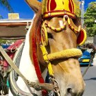 Ornate white horse with golden accessories in tropical setting