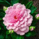 Vivid Pink Lotus Flower Digital Artwork with Dark Green Background