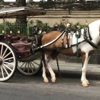 Decoratively harnessed horse by ornate cart on rocky path with lush greenery