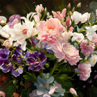 Assorted flowers painting with pink, white, and purple blooms on dark backdrop