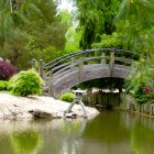 Tranquil garden scene with wooden bridge, pond, lush greenery, and weeping willow