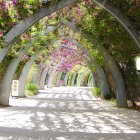 Stone Archway Covered in Pink Flowers Overlooking Sunlit Garden Path