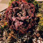 Adorable puppies in pink flower and succulent garden