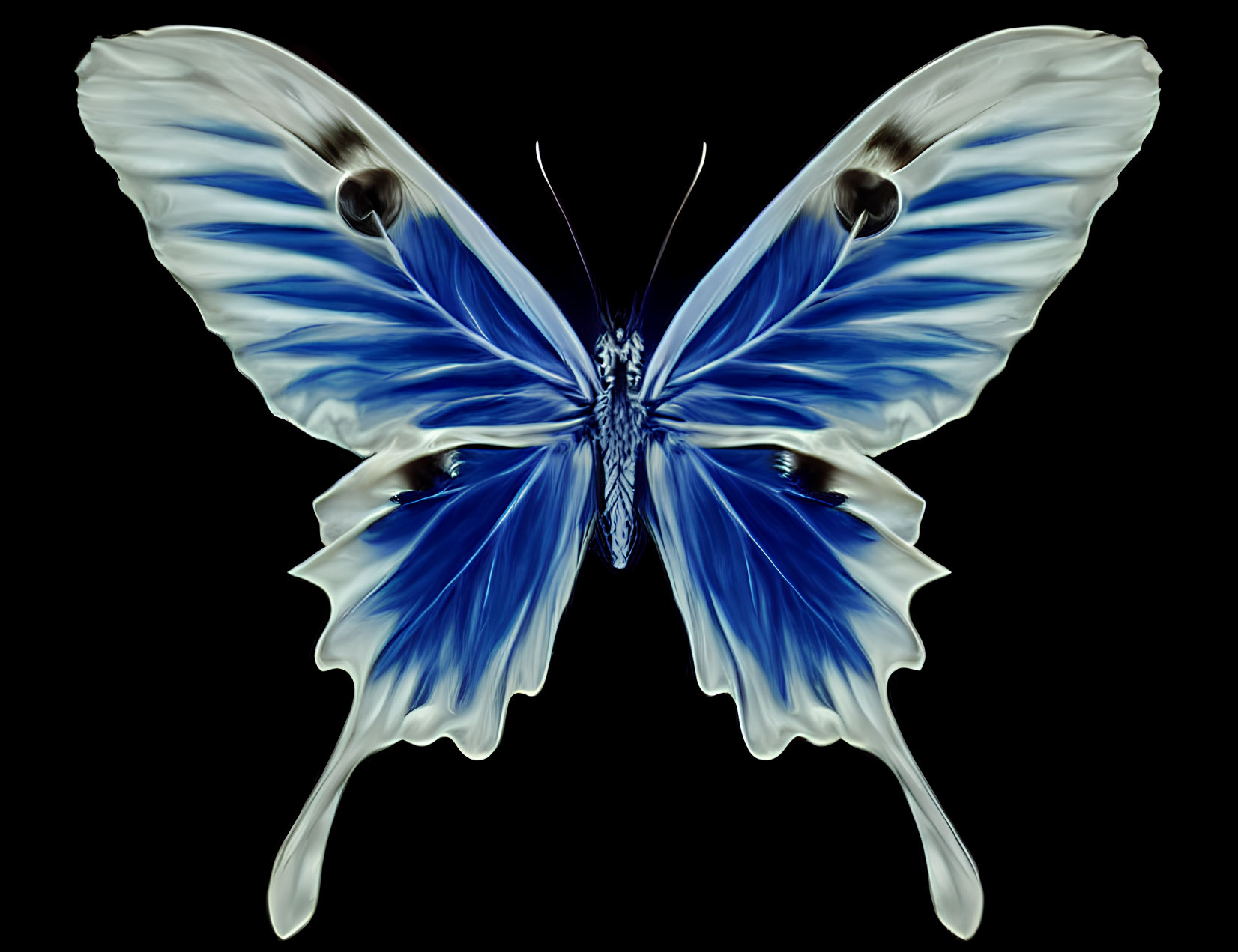 Symmetrical blue and white butterfly graphic on black background