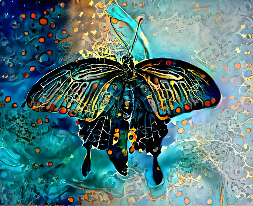 Butterfly