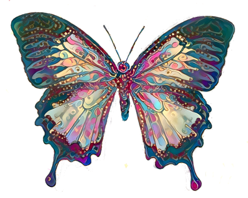 Butterfly 23 #220521
